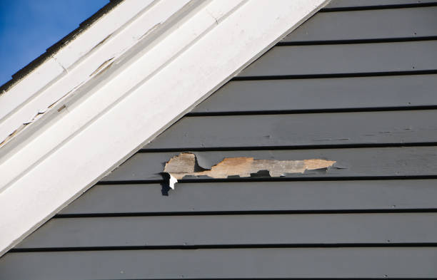 Affordable Siding Repair and Maintenance Services in New Brockton, AL